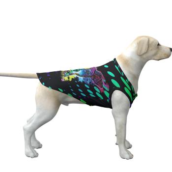 Hunde Sweater "Chiquito"